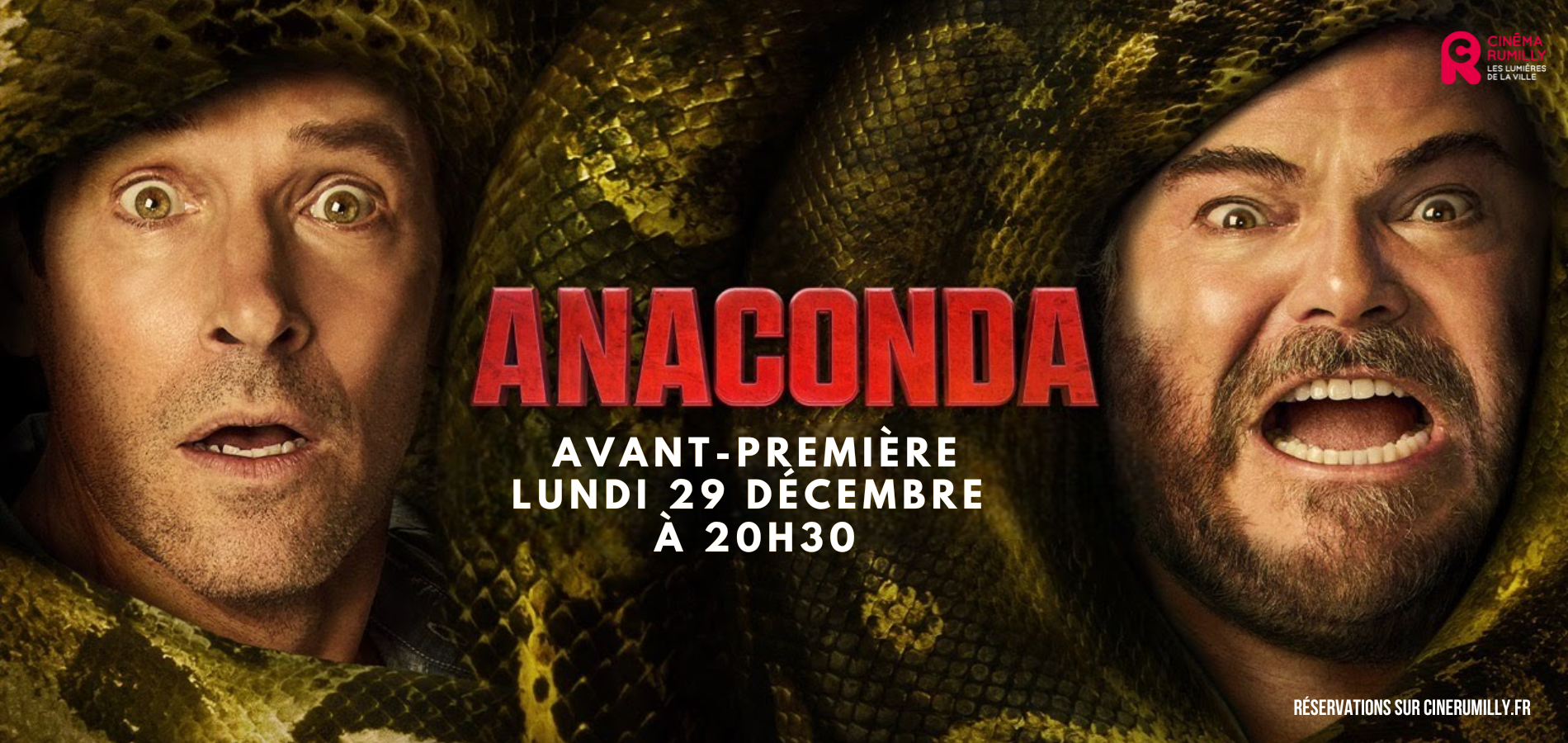 actualité ANACONDA AVP