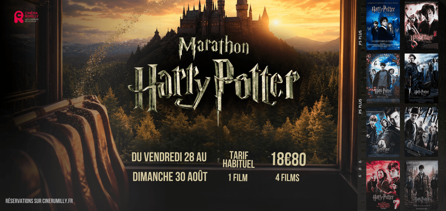 actualité harry