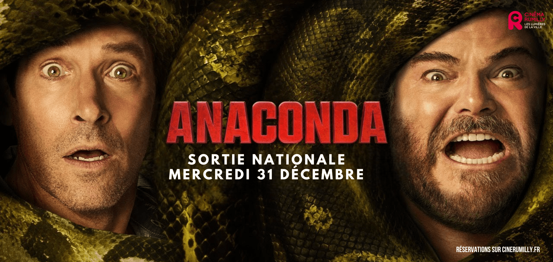 actualité anaconda sn