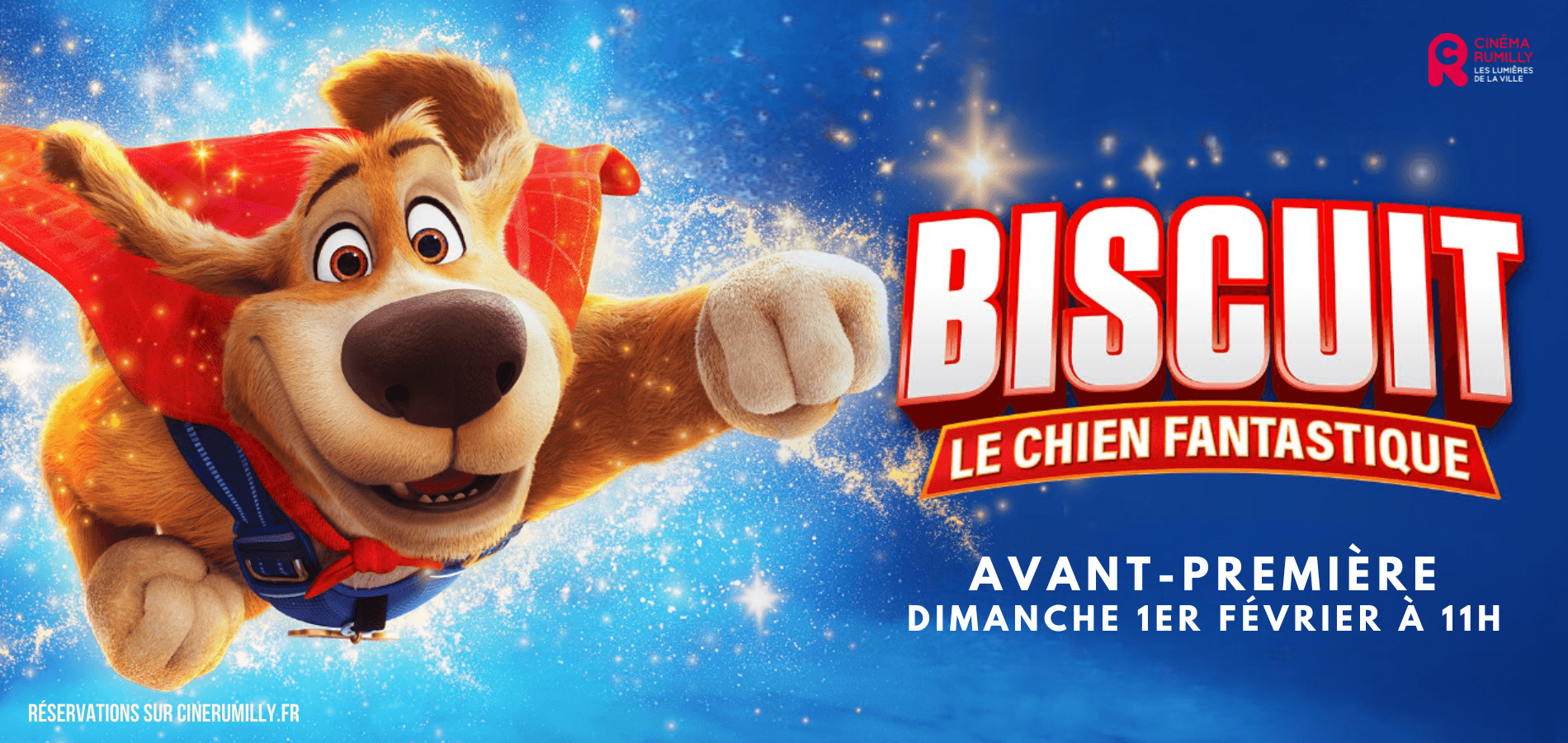 actualité biscuit - avp