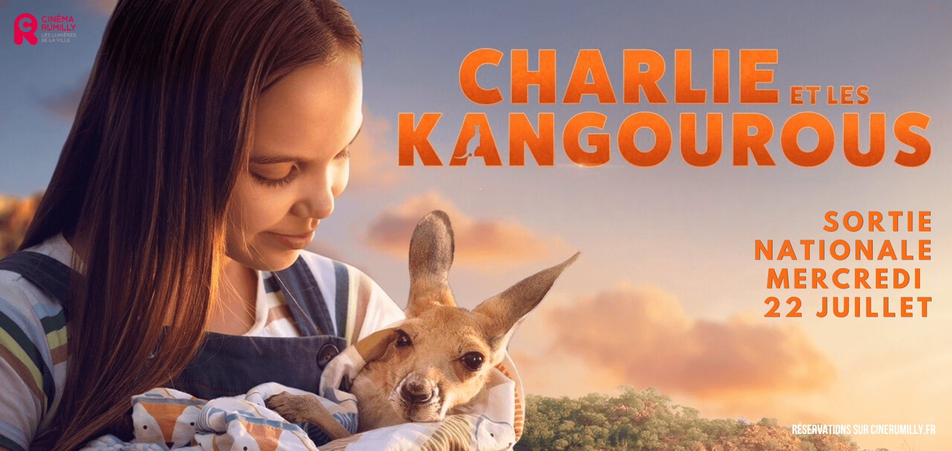 actualité kangourou