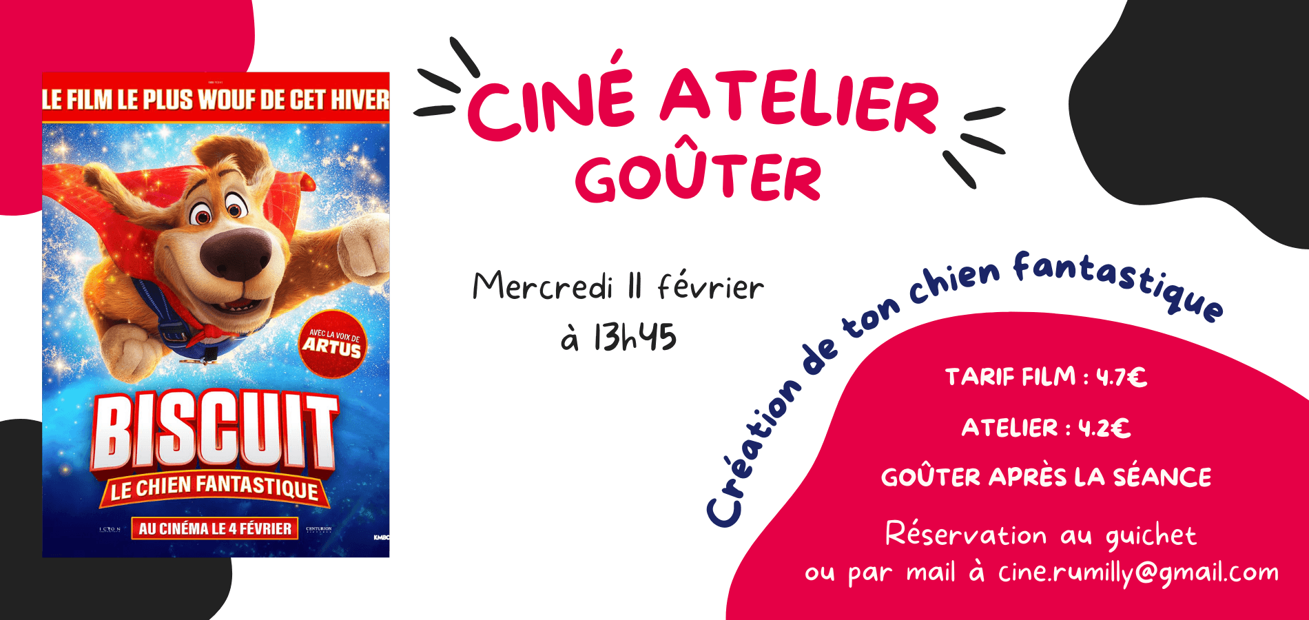 actualité CA Biscuit le chien